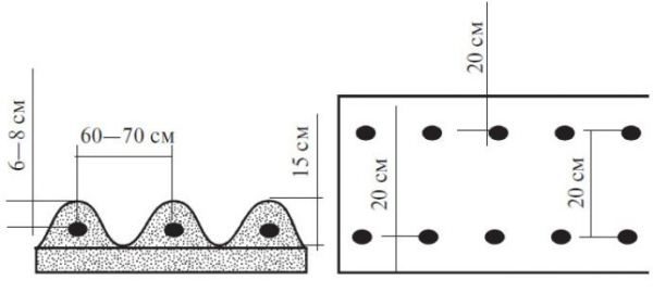  Das Schema des Anpflanzens von Kartoffeln Impala