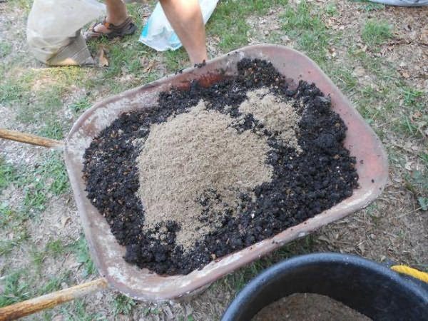  Préparation d'un mélange de jardin de cendres, sciure de bois et engrais organique