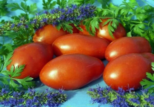  Tomaten sind universell, sie eignen sich für Salate, Beilagen, Suppen und Saucen