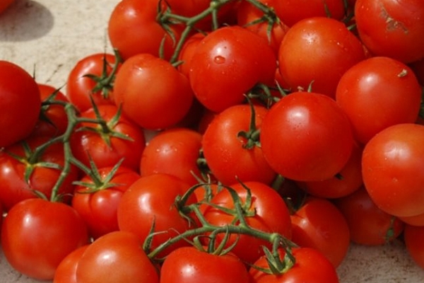  Verlioka Tomato Variety: Beschreibung und Eigenschaften, Anbau, Bewertungen