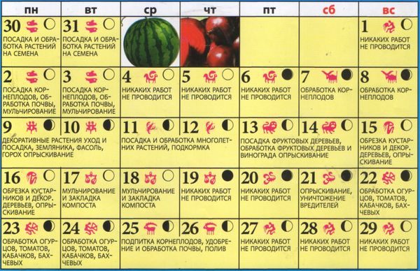  Mondkalender