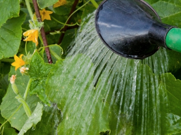  Wasser in den Abendstunden mit abgetrenntem Wasser bei Raumtemperatur.