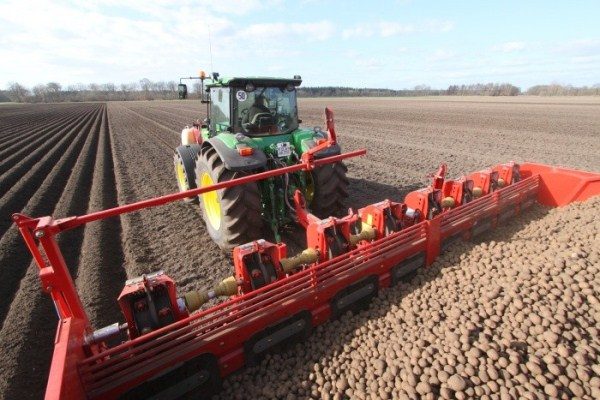  Planter des pommes de terre