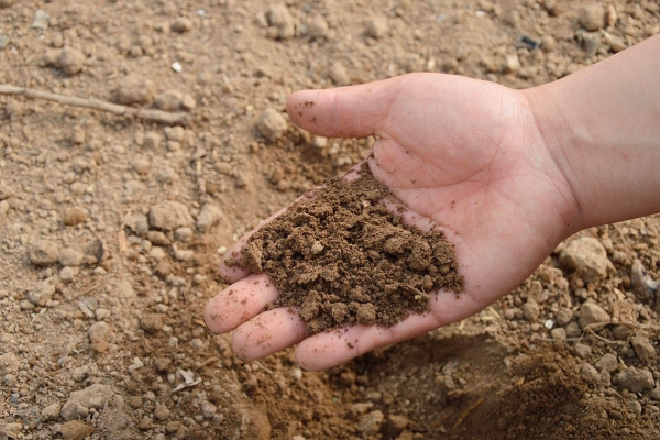  Le sol a besoin de sol fertile, d'eau et respirable