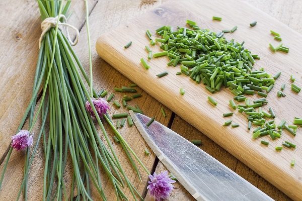  La ciboulette est considérée comme un assaisonnement presque universel, convenant à tous les plats sauf aux légumineuses.