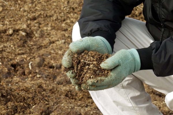  Convient à l'alimentation du fumier, dilué dans de l'eau et en solution concentrée. Idéal