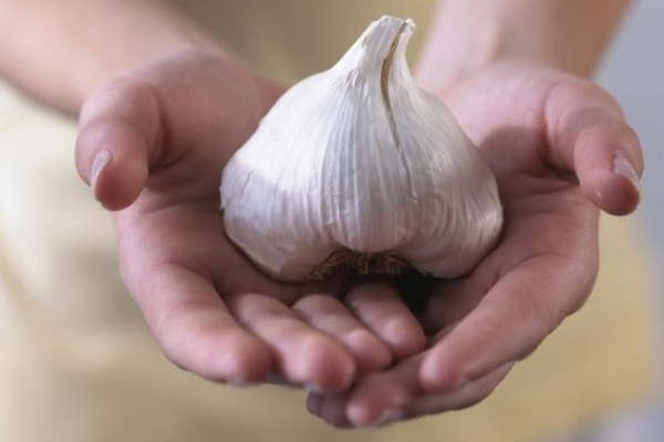  Le légume a des limites d'utilisation et, dans certaines maladies, il peut causer des dommages irréparables à une personne.