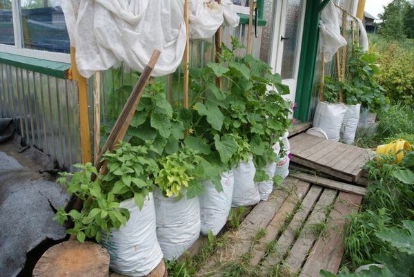  Taschen können auf der Veranda, dem Balkon und der Loggia platziert werden