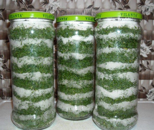  Eingelegter Dill