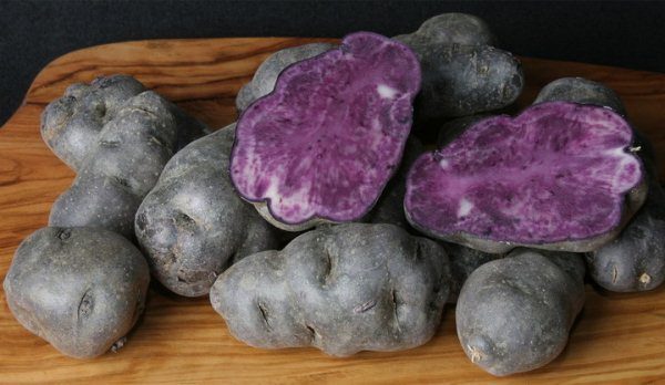  Zu den violetten Kartoffelsorten zählen solche, die nicht nur von der Rinde, sondern auch vom Fruchtfleisch intensiv gefärbt werden.