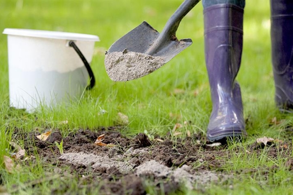  Quelques semaines avant la plantation, équipez le sol de cendres et d'humus, déterrez