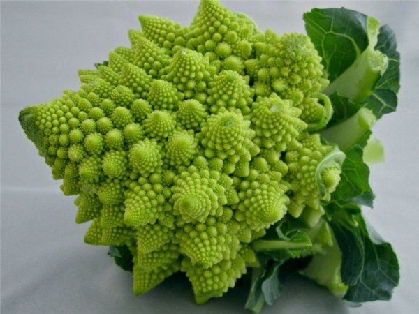  Chou romanesco