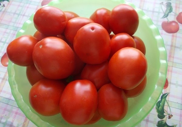  Früchte der Tomate Countryman hat ein reiches Aroma und einen ausgezeichneten Geschmack