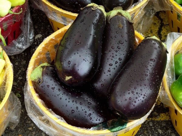  La couleur de l'aubergine n'est pas considérée comme un signe de maturité.