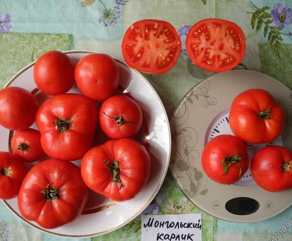  Das durchschnittliche Gewicht der Früchte einer Sorte - 200 Gramm