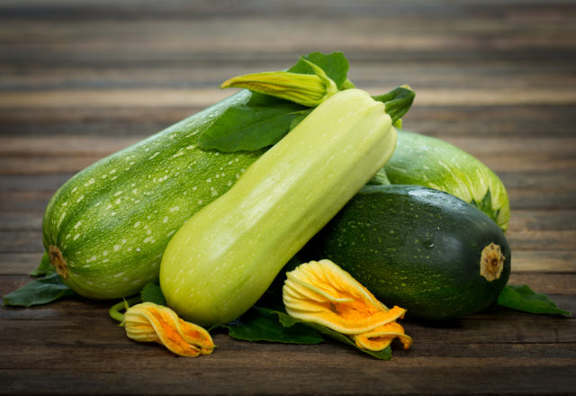  Zucchini pflanzen