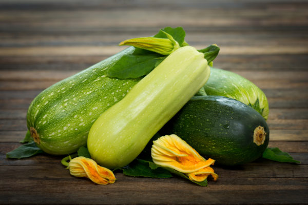  Zucchini pflanzen