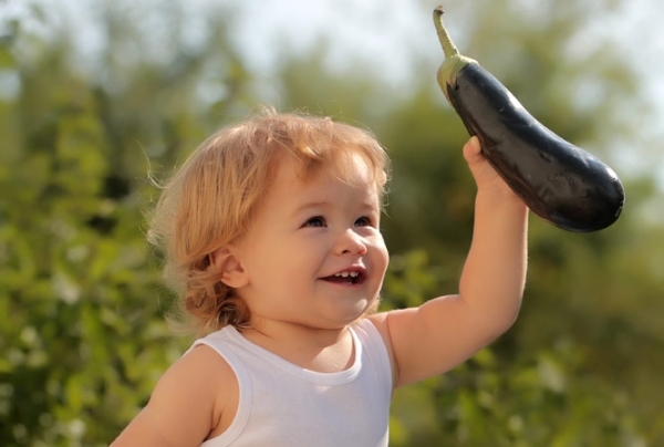  Bis zum Alter von eineinhalb Jahren ist es besser, keine Auberginen in das Kindermenü aufzunehmen, nicht roh zu essen