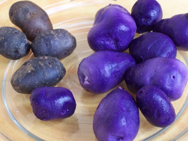  Neben Antioxidantien in violetten Knollen mit ungewöhnlicher Farbe gibt es eine große Menge Vitamin C