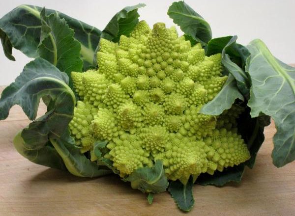  Kohl Romanesco