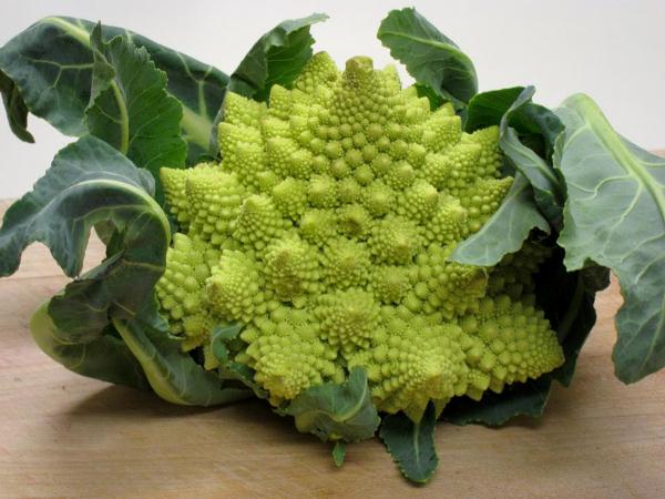  Kohl Romanesco