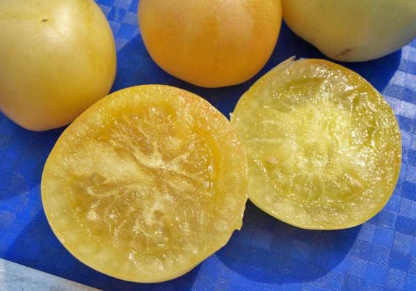  La pulpe de pêche à la tomate est tendre, juteuse, presque acidulée.