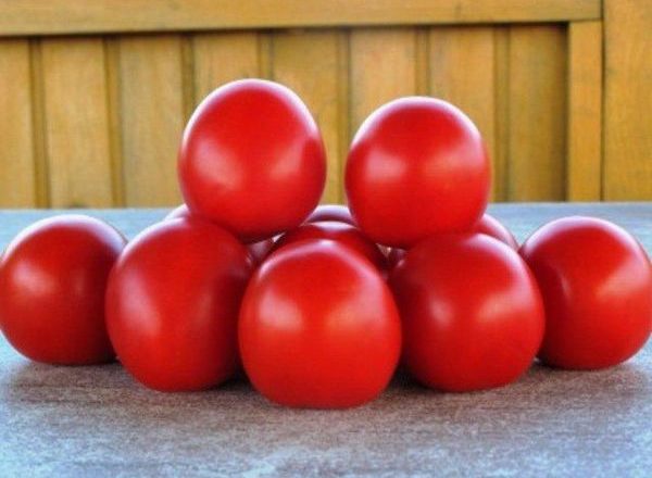  Tomaten Sonnenaufgang