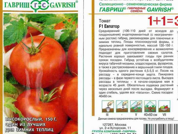  Graine de Tomate Evpator F1