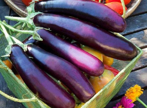  Comment enlever l'amertume des aubergines