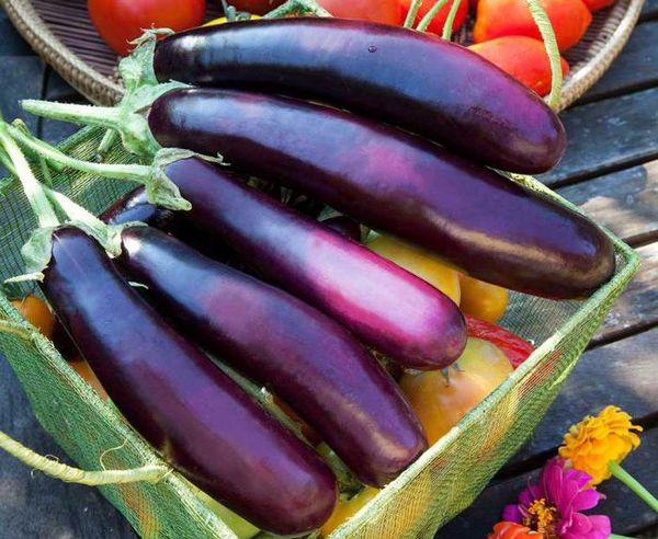  Comment enlever l'amertume des aubergines