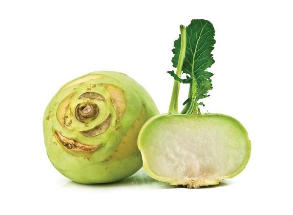  Kohlrabi-Kohl