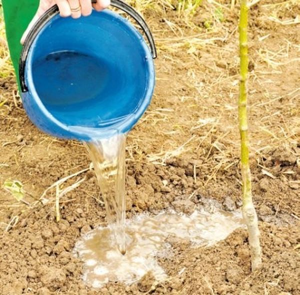  Avant de préparer les lits, assurez-vous de vérifier leur perméabilité à l'humidité.