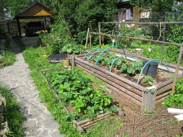  Hoher warmer Garten für Gurken