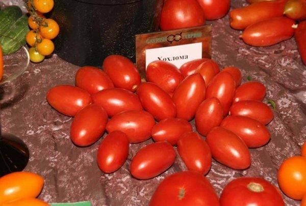  Tomatensorten Khokhloma