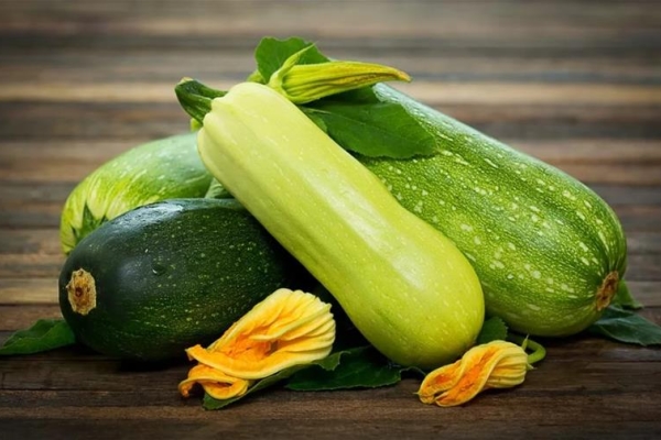  Was ist der Unterschied zwischen Zucchini und Zucchini, was ist der Unterschied?