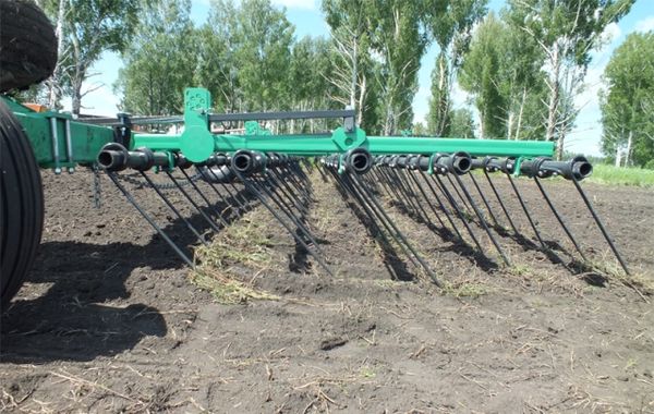  Le hersage doit être effectué avant et après la levée des plants de maïs.