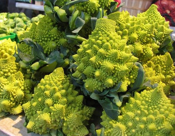  Le critère principal pour la maturité du chou Romanesco - formé de grandes inflorescences-étoiles