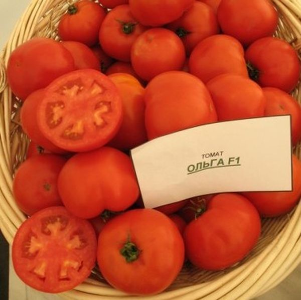  Les fruits d'une variété ont une forme arrondie et pèsent entre 70 et 100 grammes.