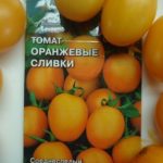  Les variétés de tomates les plus populaires