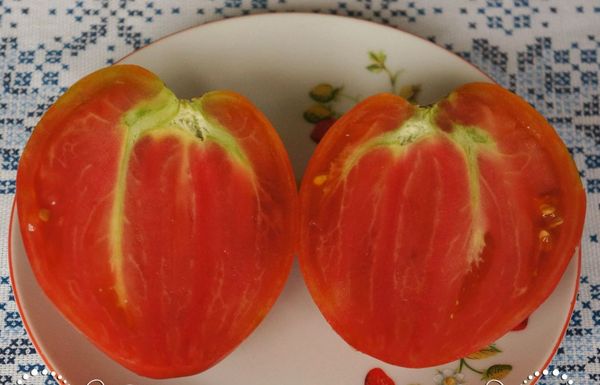  Seuls les fruits mûrs d'arbustes sains conviennent à la collecte de graines.