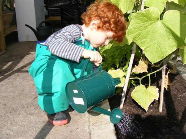  L'irrigation irrégulière est l'une des erreurs les plus courantes en matière de soins.