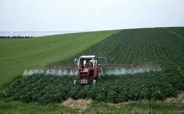  Die Einführung von Herbiziden für Kartoffeln auf dem Feld