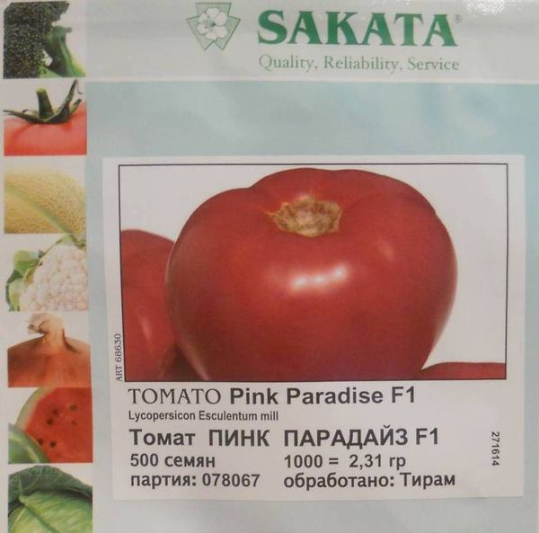  Graines de tomates Pink Paradise