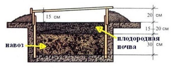  Schema zur Schaffung eines biologischen Heizgewächshauses mit Mist