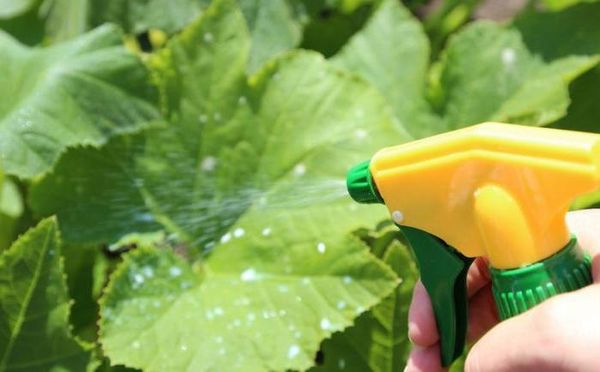  Lorsque l'alimentation foliaire est nécessaire pour obtenir une pulvérisation uniforme