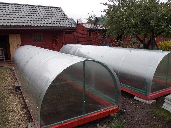  Gewächshaus Squash aus Polycarbonat