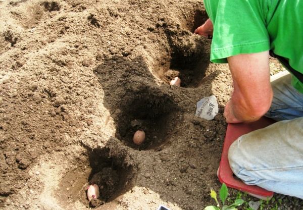  L'atterrissage se fait à la profondeur de 16 cm