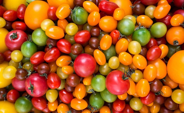  Description et caractéristiques de la tomate - crème