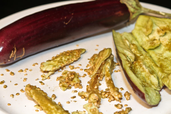  Conditions pour cultiver des plants d'aubergines à la maison