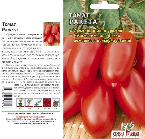  Beschreibung und Eigenschaften der Tomatenrakete